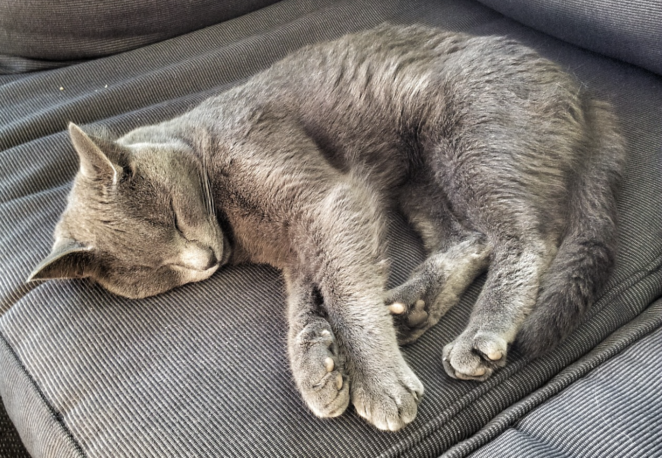 Rascador de Gatos Mesa para brazo de sofá