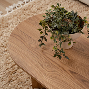 Mesa de centro ovalada de madera Raav Zoom concept u