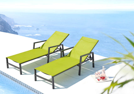 2 tumbonas Gris oscuro y verde