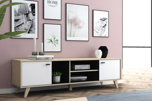 Mueble de TV de madera con armario